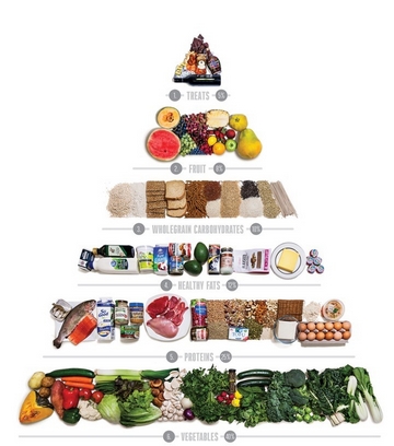 food pyramid